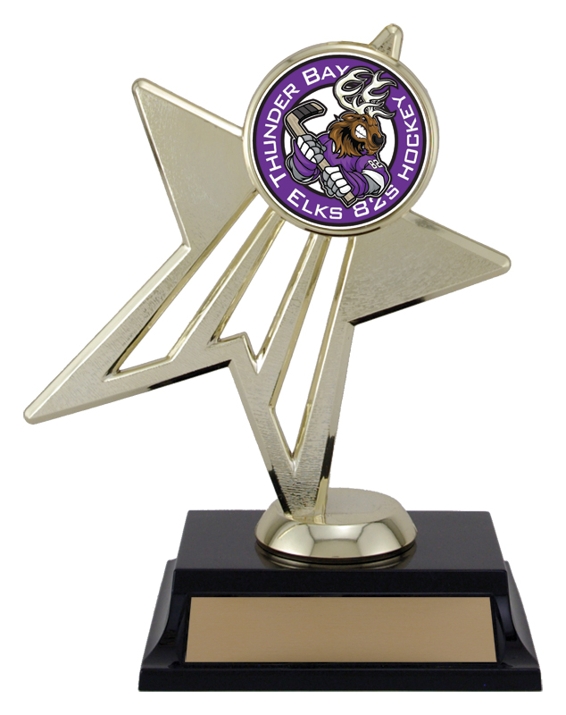Trophée Star Power basketball hockey