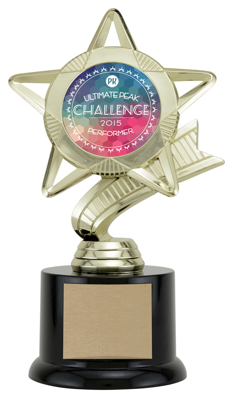 Trophée Challenge Cup étoile 7½ po