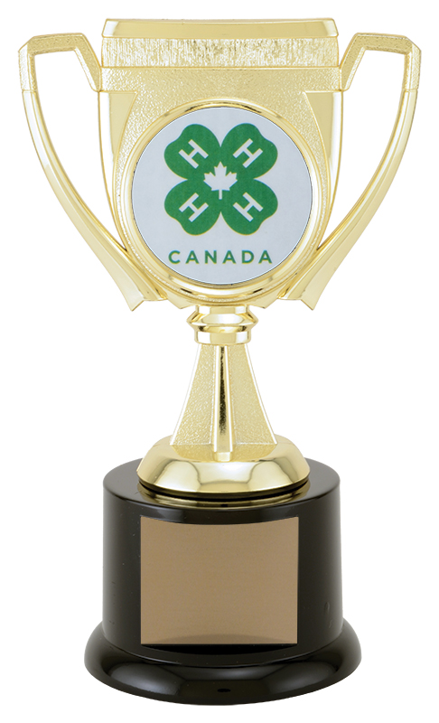 Trophée Challenge Cup colonne 7½ po