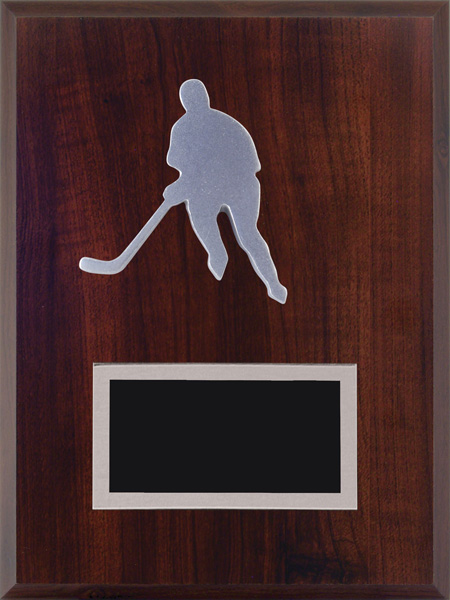 Plaque basketball hockey