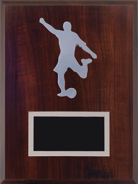 Plaque hockey soccer