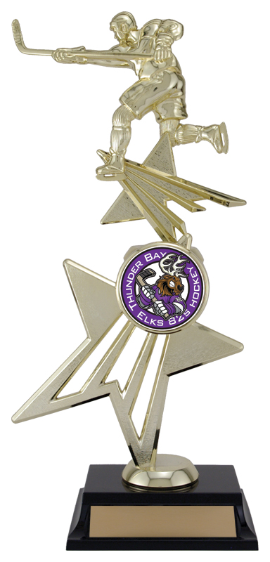 Trophée Star Power basketball hockey figurine
