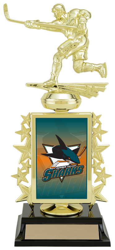 Trophée Superstar insert colonne 13 po