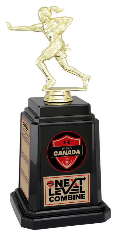 Trophée football drapeau annuel 10 1/4 po