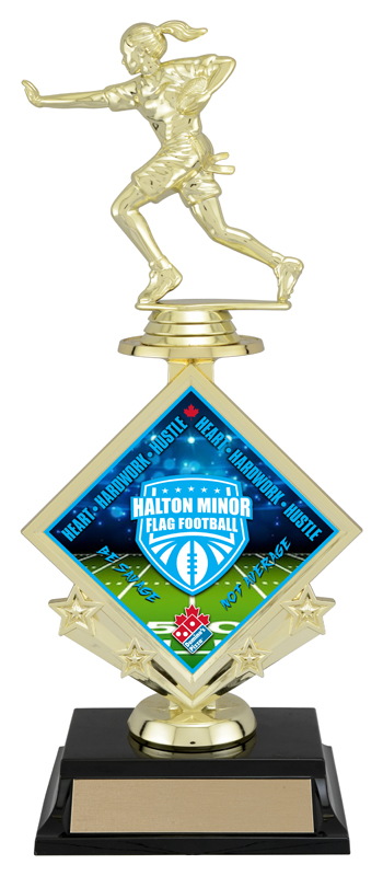 Trophée football drapeau Diamond Star 11 1/2 po