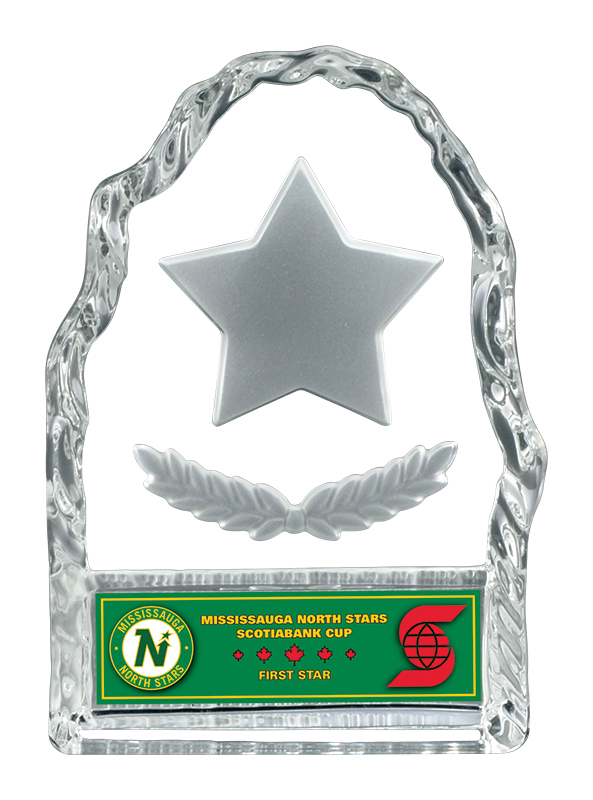 Trophée résine Challenger Iceberg 4⅜ po