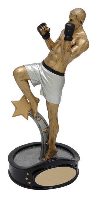 Trophée résine arts martiaux mixtes