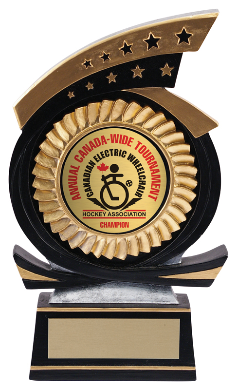 Trophée résine étoile sport