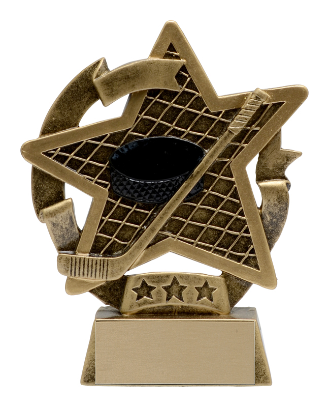 Trophée hockey Star Gazer 5 po