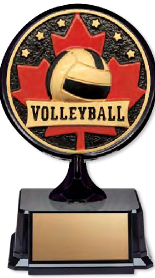 Trophées et médailles pour tournoi de volleyball