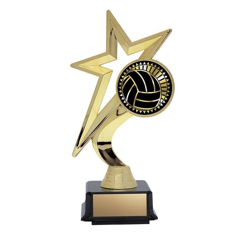 Trophée Volleyball THS-5317G